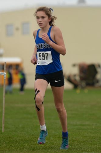 GIRLS CROSS-COUNTRY: Pavilion’s Wolcott captures second sectional title ...