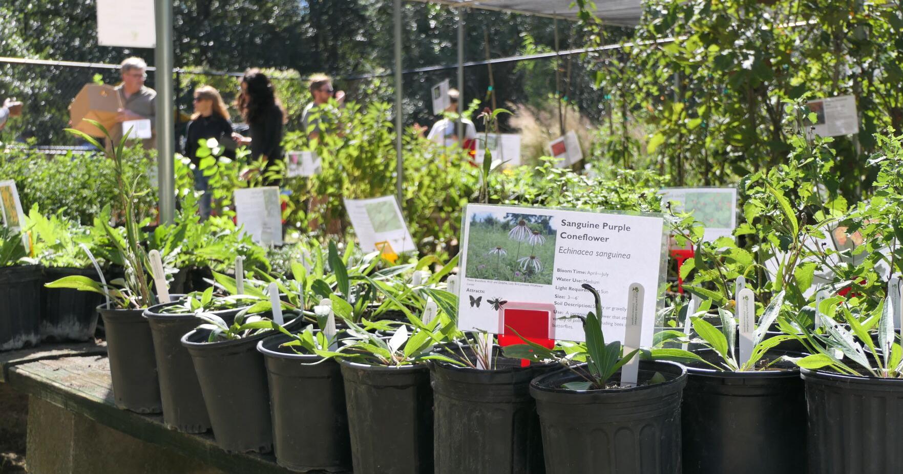 Houston Arboretum hosts Spring Plant Sale March 22, 23 - Vimarsana News