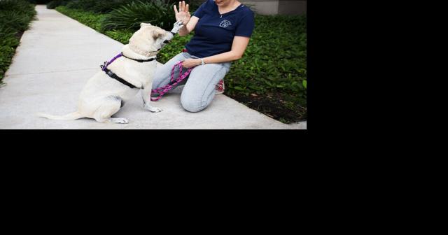 Meet Joanna Wachowiak-Finlaison, The Leader's new pet behavior columnist - Vimarsana News