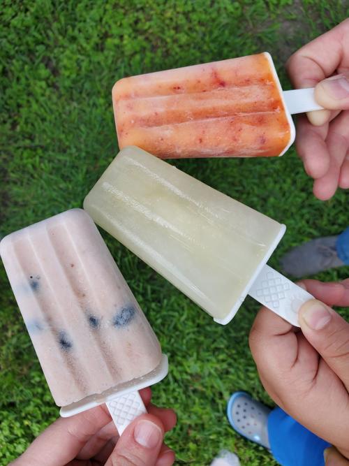 Make Popsicles At Home This Summer Food Drink Theleadernews Com