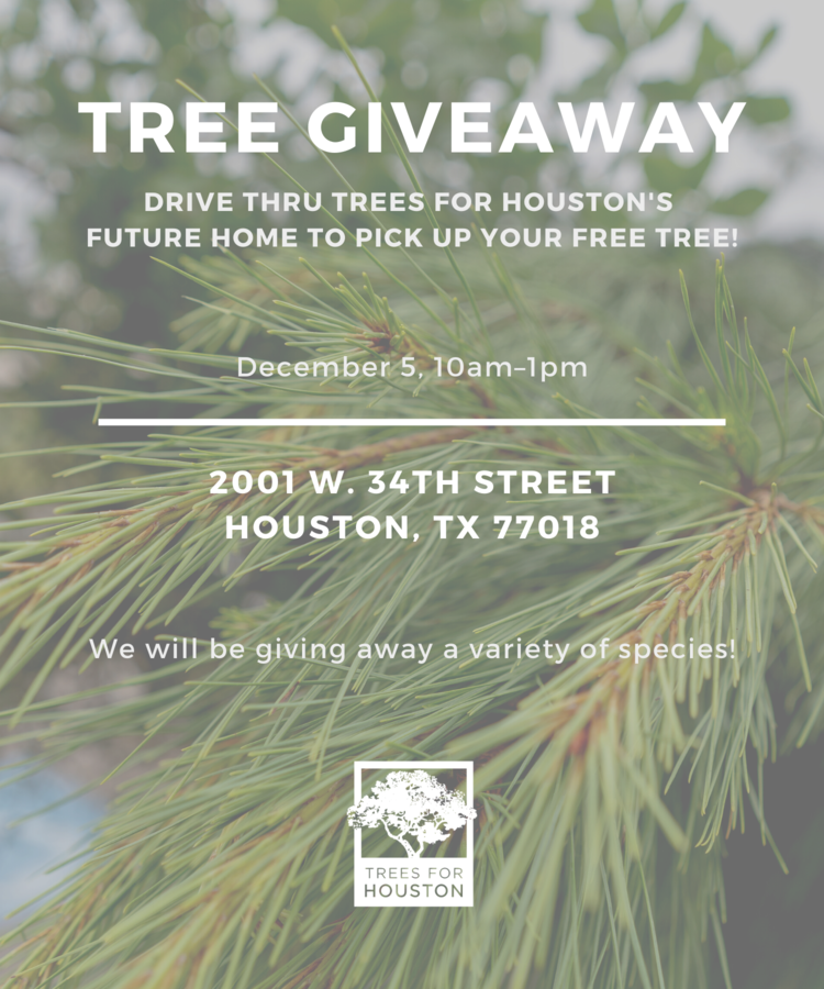 Trees For Houston hosting local tree giveaway Community