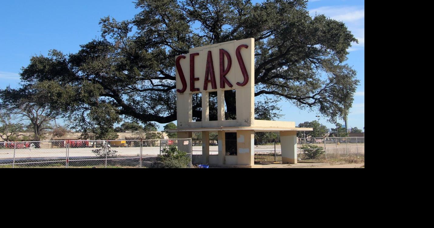 Call to Action: Community rallies to save 100-year-old oak tree on ...