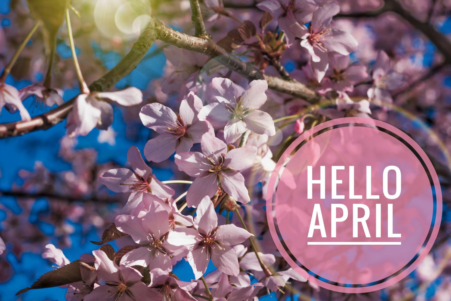 April Events and Observances | The Leader News | Coast To Coast ...