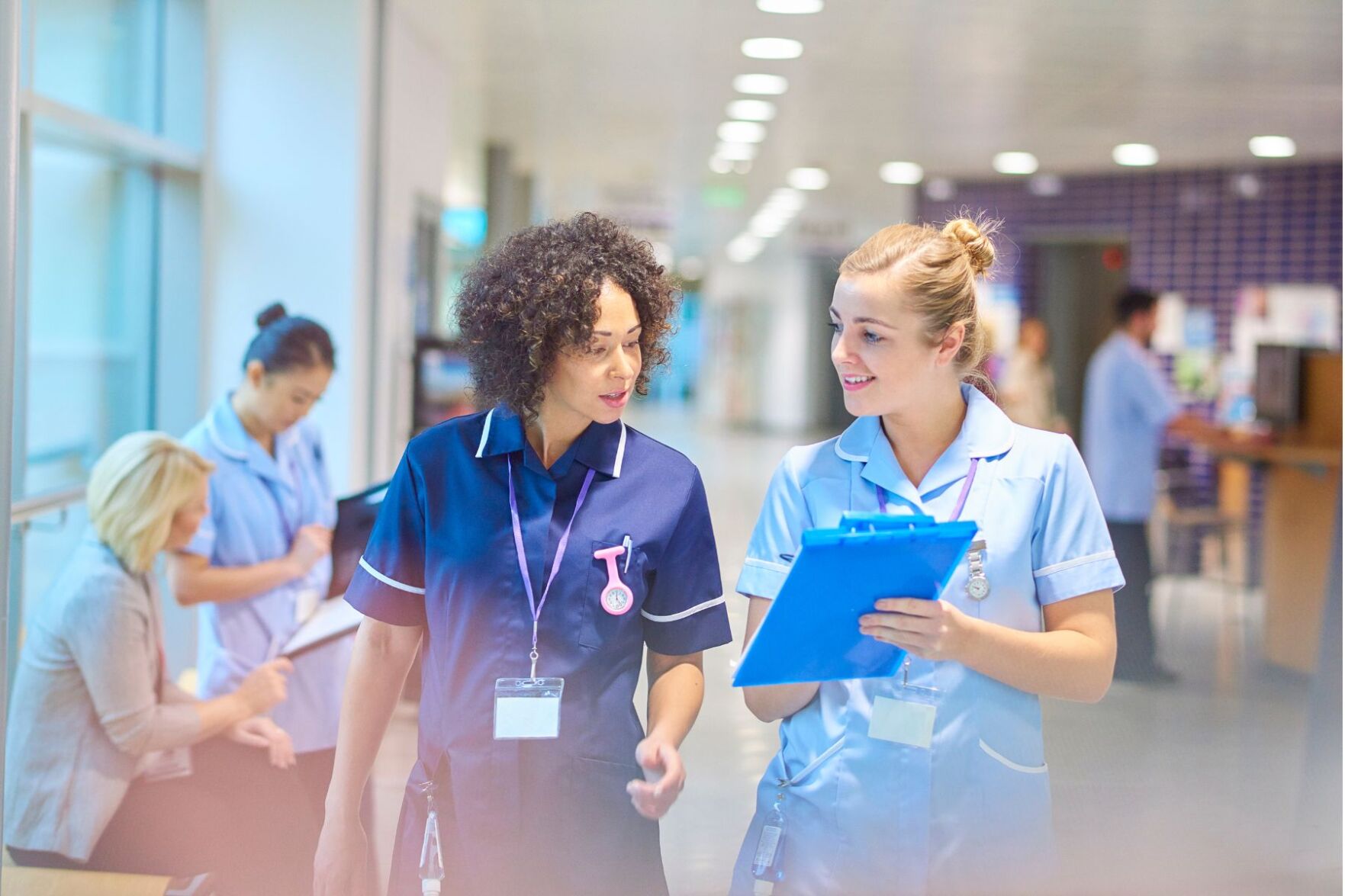 HCC launches new nursing program to offer LVNs pathway to earn degrees ...