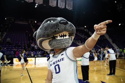 Willie the Wildcat points at a fan in the crowd after the game.