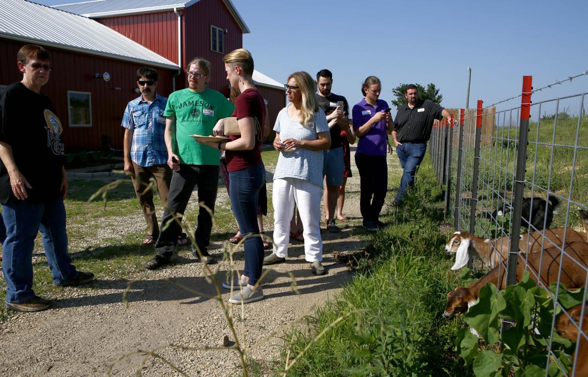 Goat cheese farmer looking to expand locally Local News