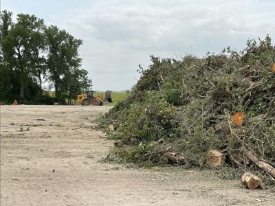 Riley County brush pile