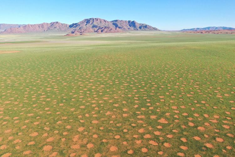 Scientists may have figured out cause of mysterious fairy circles in Africa, National