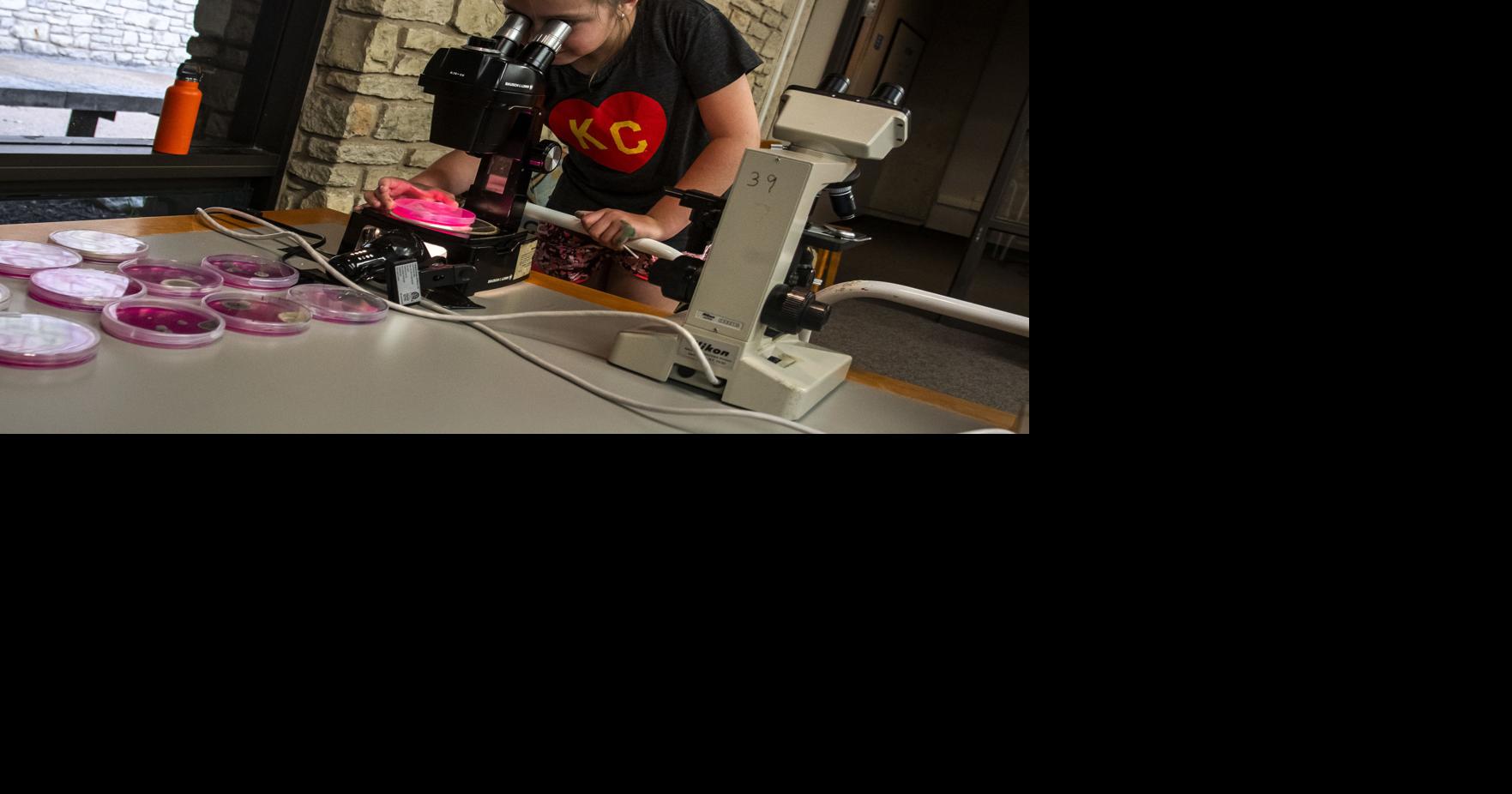 PLAN YOUR WEEKEND #39 Our Town #39 live music Kansas Science Festival and