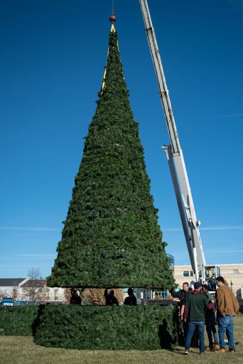 The Manhattan Festival of Lights' Christmas Tree is assembled in Blue Earth Plaza