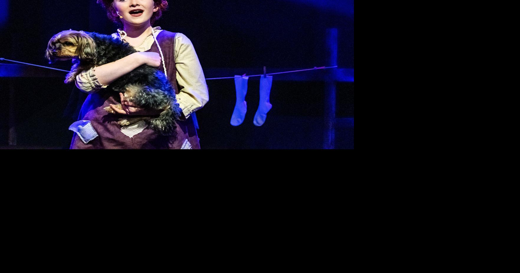 ‘Extremes' MAC's 'Annie' follows an orphan's rags-to-riches journey Dec 6, 2025 2 mins ago