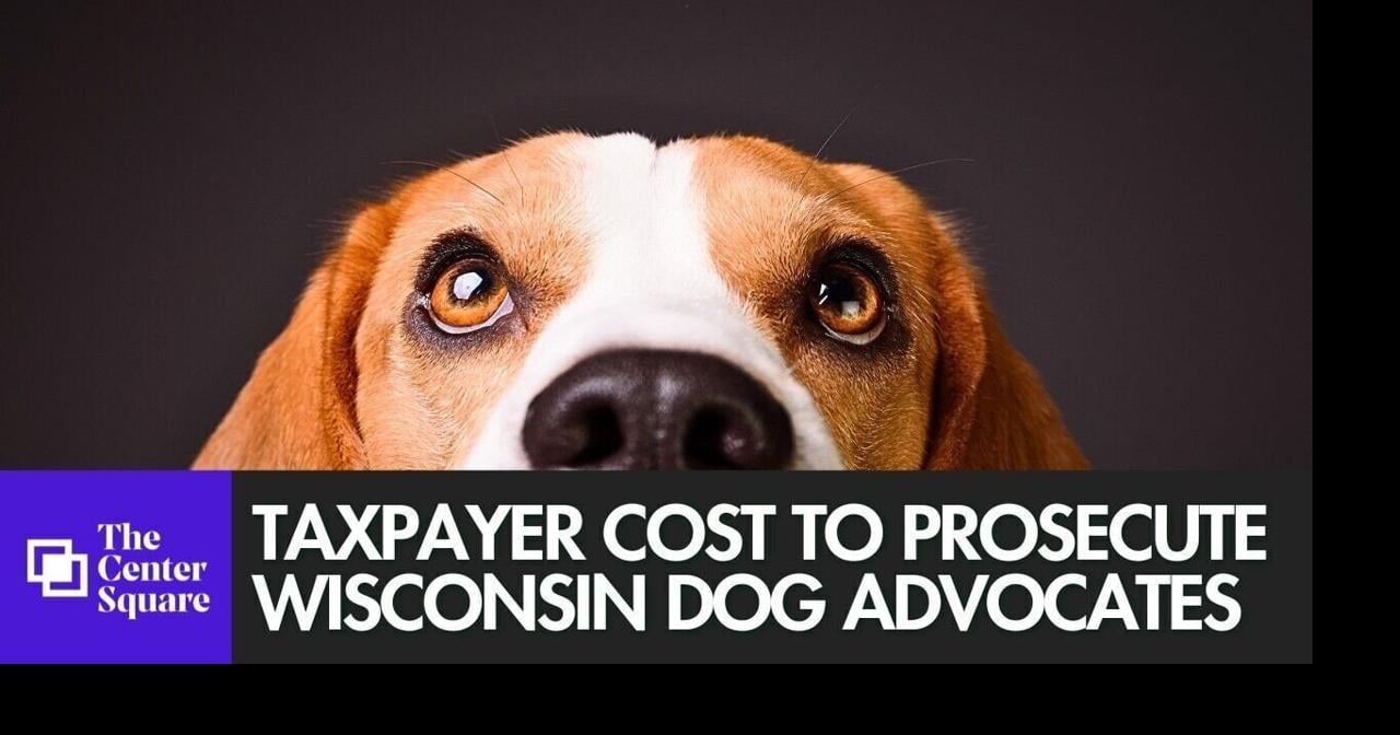Taxpayer cost to prosecute Wisconsin dog advocates could be millions, attorney says By Jared Strong | The Center Square Jul 27, 2026 1 hr ago