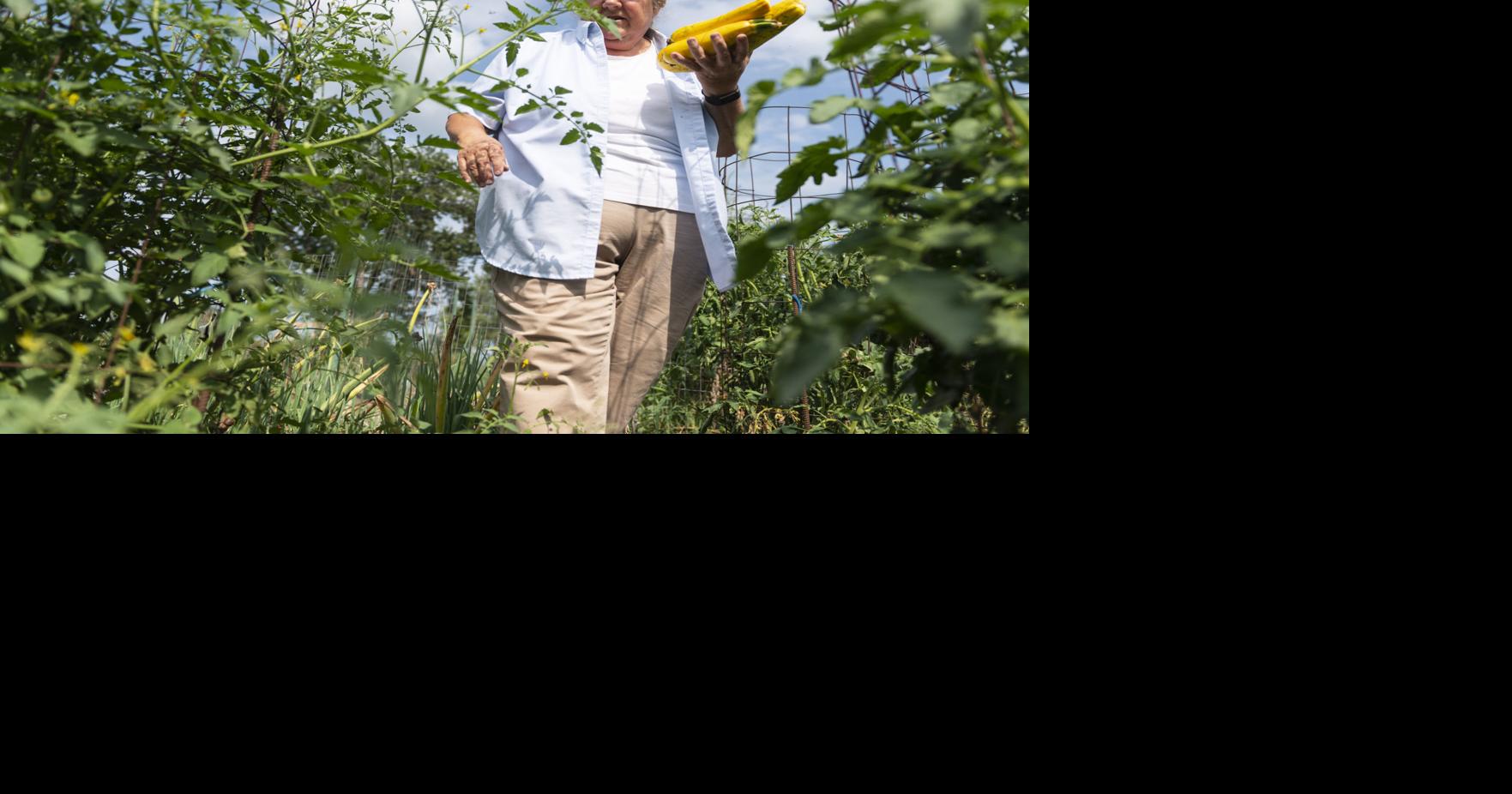 OUR NEIGHBORS | Teacher finds healing in gardening | Local News ...