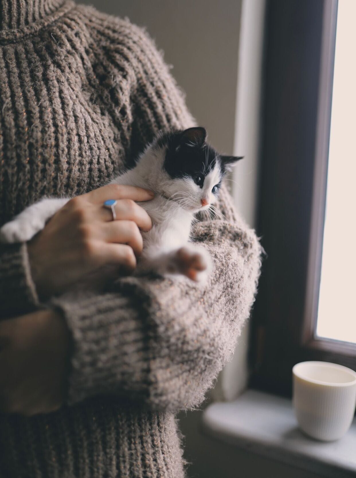 Photo inspiration: Fresh Look at Does Cuddling Cats Or Dogs Actually Ease Anxiety Health