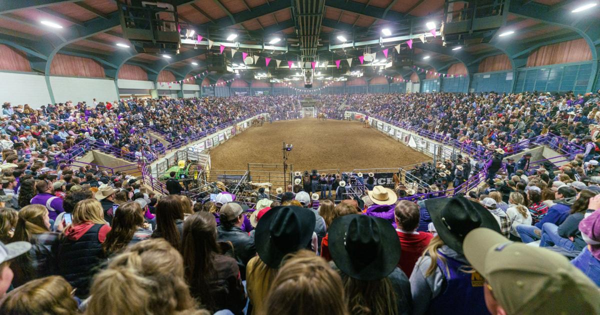 KSU Rodeo celebrates 75 years with a return to Weber Arena | News ...