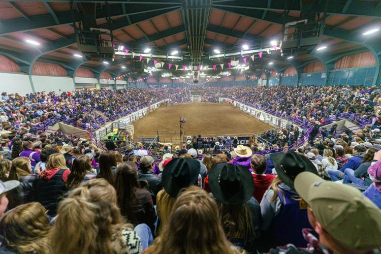 Ksu Rodeo Celebrates 75 Years With A Return To Weber Arena News Themercury Com
