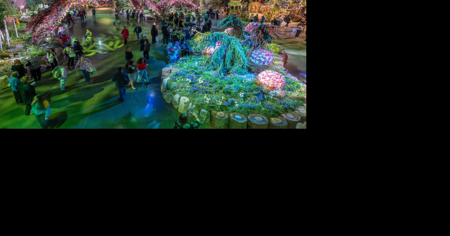 Local florist co-designed patriotic exhibit at Philadelphia flower show