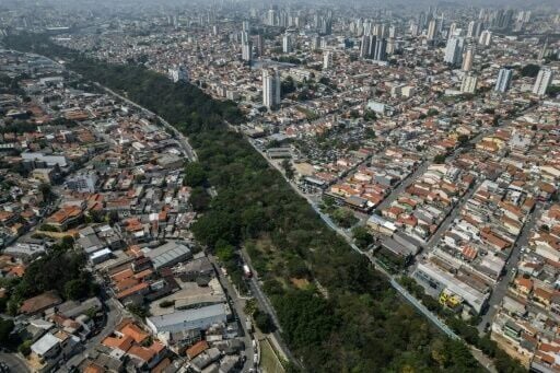 The Tiquatira Park in Sao Paulo is the life's work of Helio da Silva