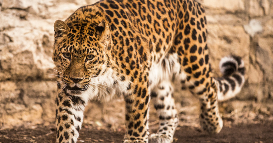 675c78d2ab9a1.image.png?crop=