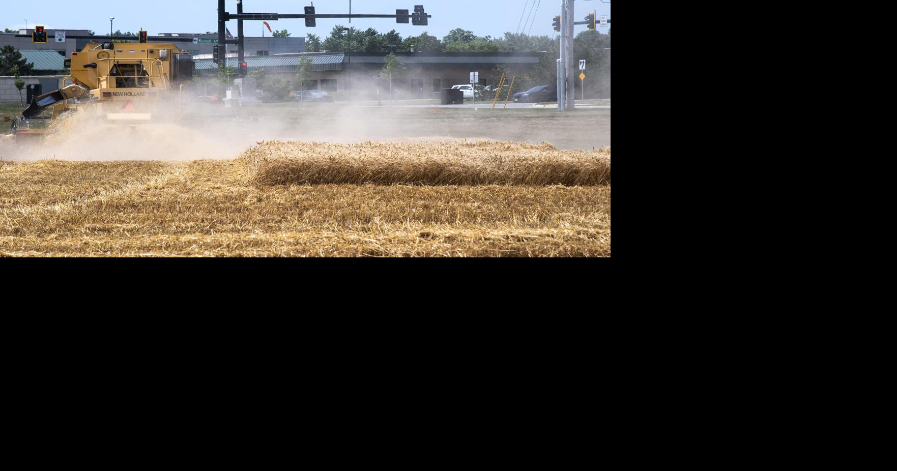 Kansas wheat harvest behind schedule – themercury.com