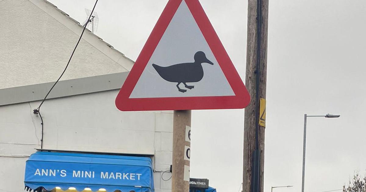 Officials install duck warning sign in spot with no ducks | National ...