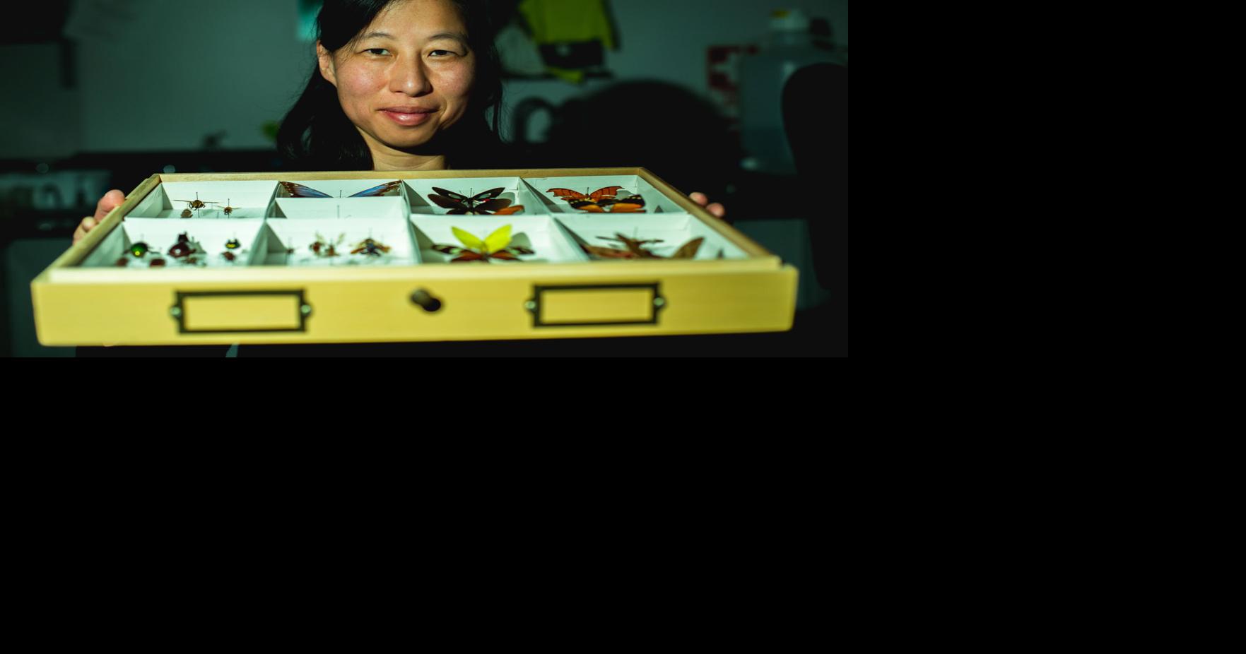 OUR NEIGHBORS | K-State entomologist researches how insects and land affect each other