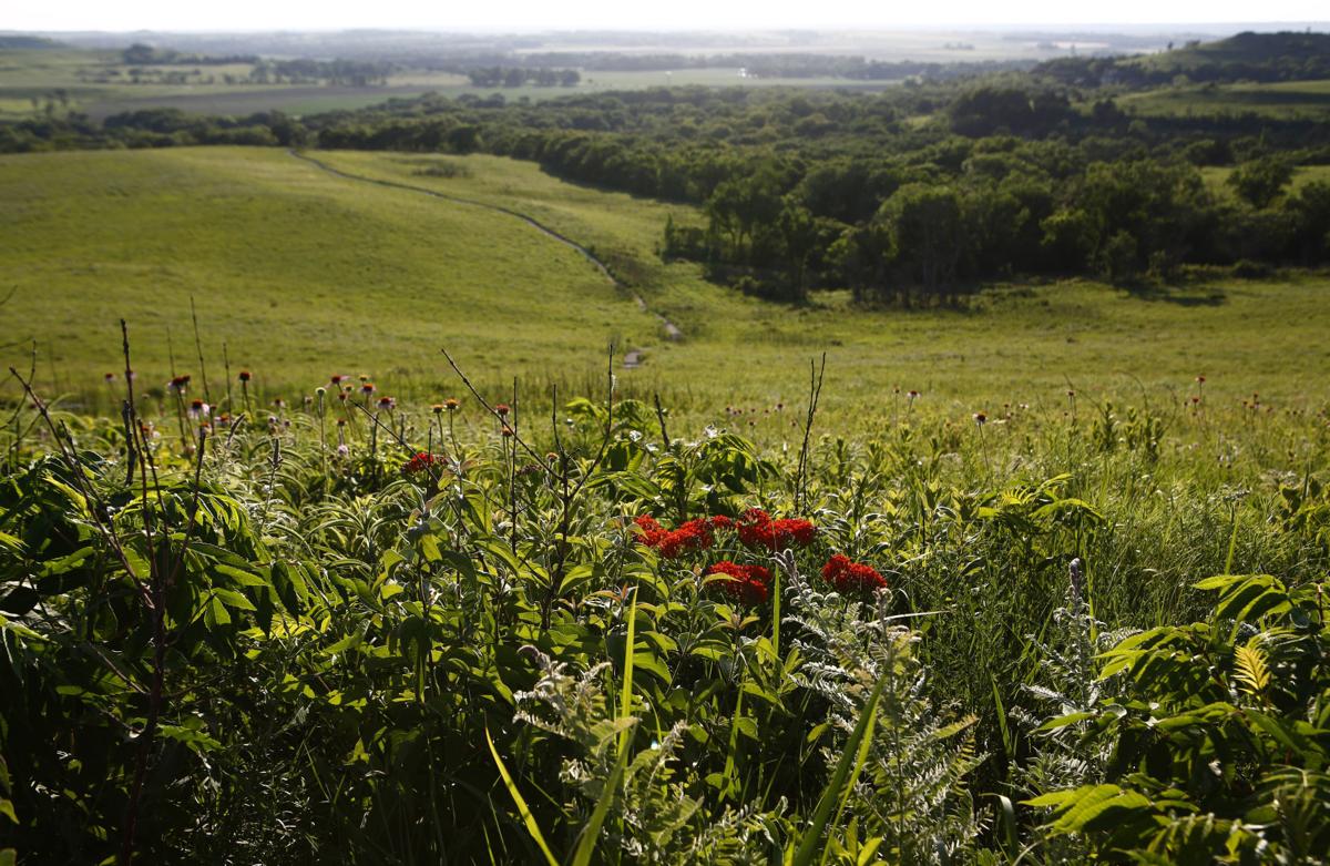 A Guide For Walking In Around Manhattan Trails Local News Themercury Com