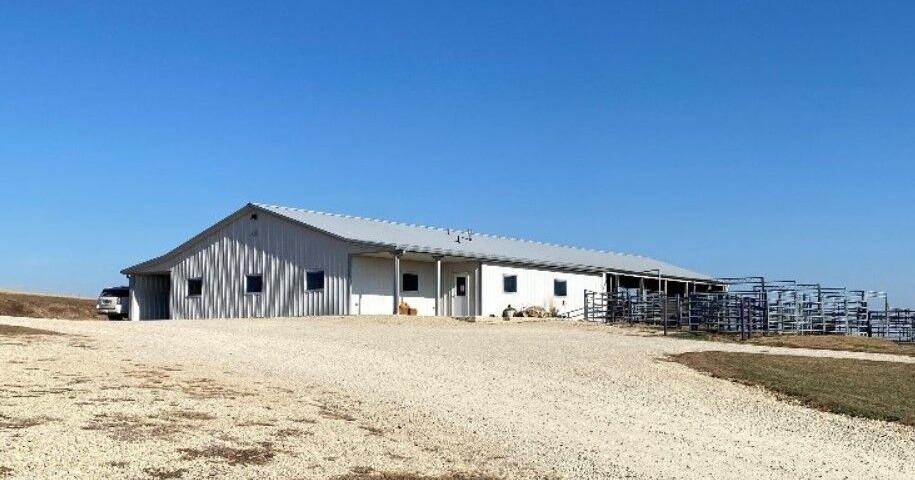 Revolutionary Breeding Techniques Transform Midwest Livestock Industry