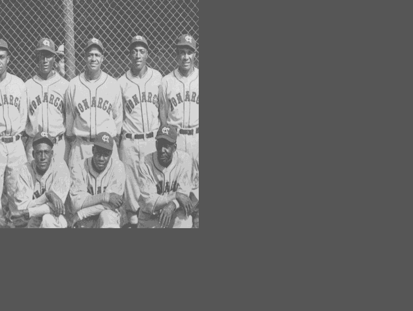 Family of former baseball star passes on history, legacy of Negro