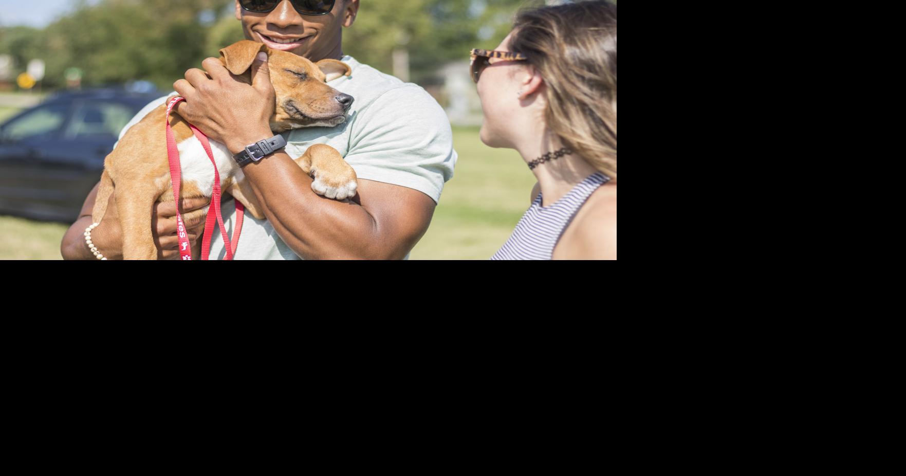 Dog adoption project at Cico Park tries to find homes for shelter ...