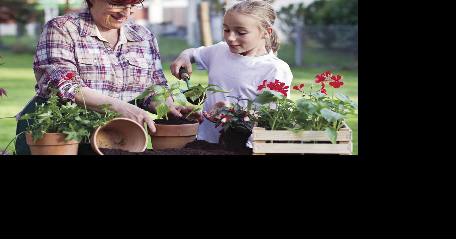 EYESTONE | Exploring the ‘us factor’ in garden health | Features