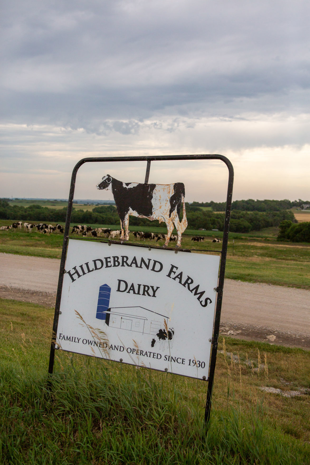 Hildebrand Farms Dairy seeing surge in milk sales as consumers switch