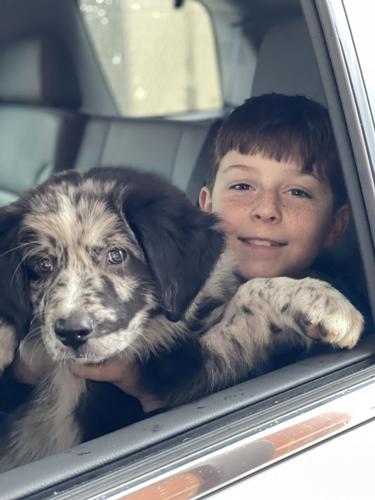 Hank Dickey wins Chik-Fil-A Dog Days