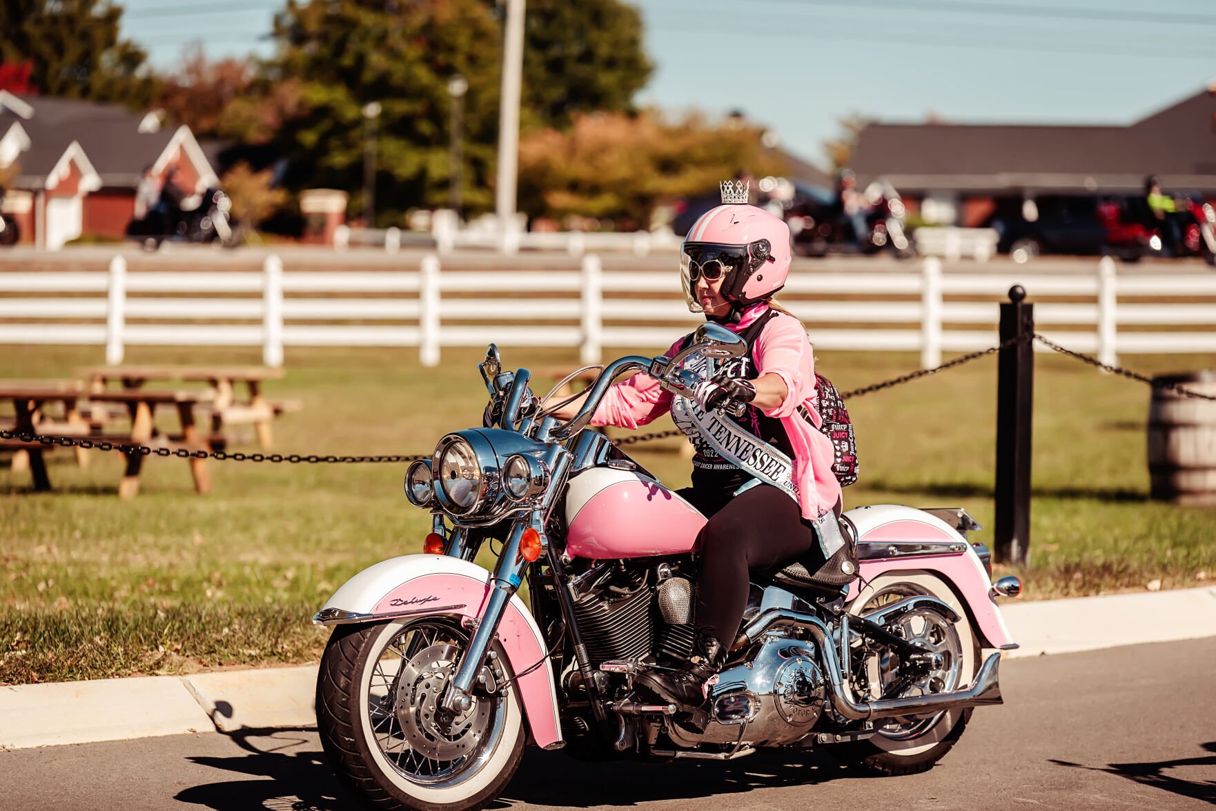 Harley davidson breast cancer 2024 helmet