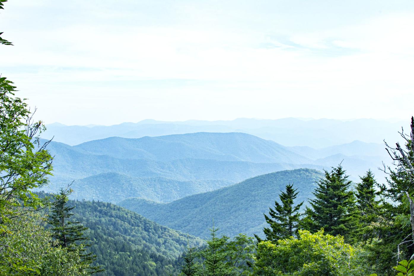 A Quick Escape Exploring The Richland Balsam Nature Loop Outdoor Themountaineer Com