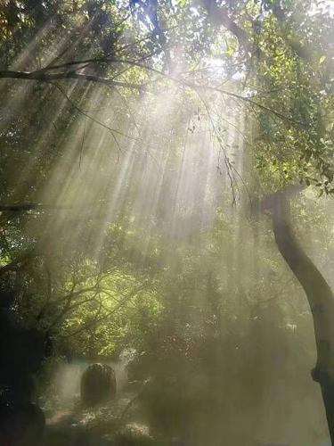 Gathering to offer support for bereaved mothers | Life | themountaineer.com