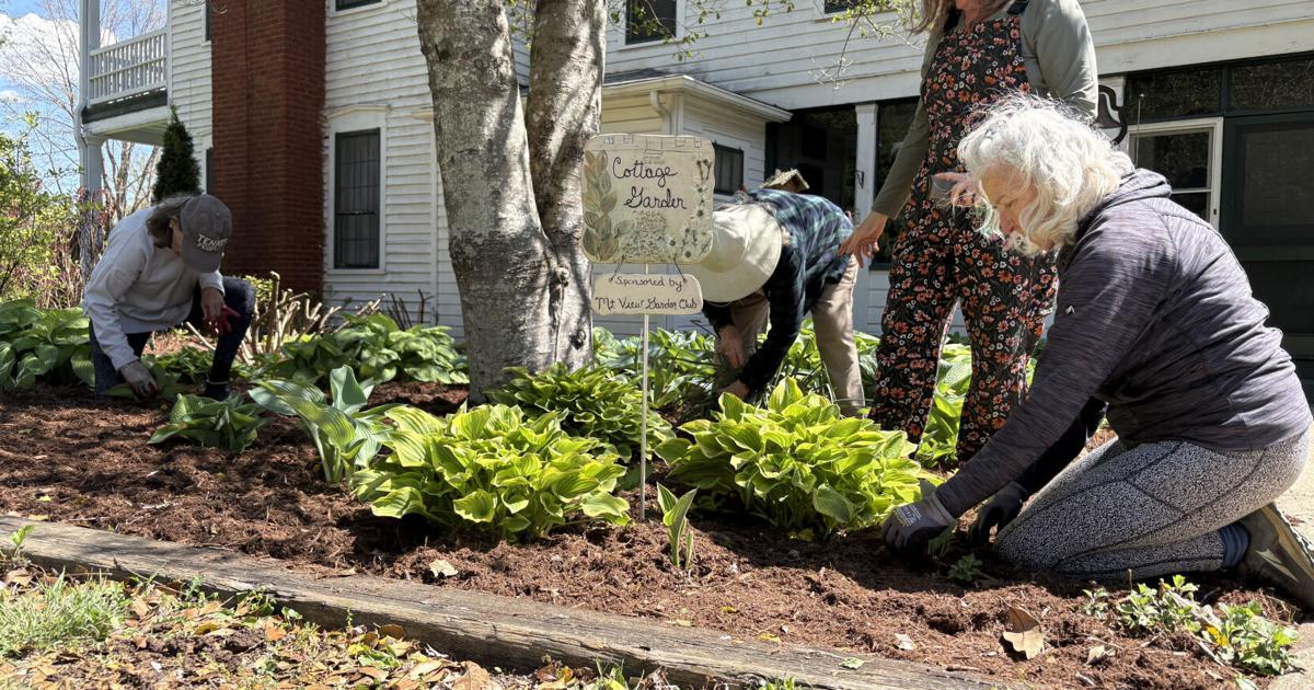 After 75 years, Mountain View Garden Club might outlast us all