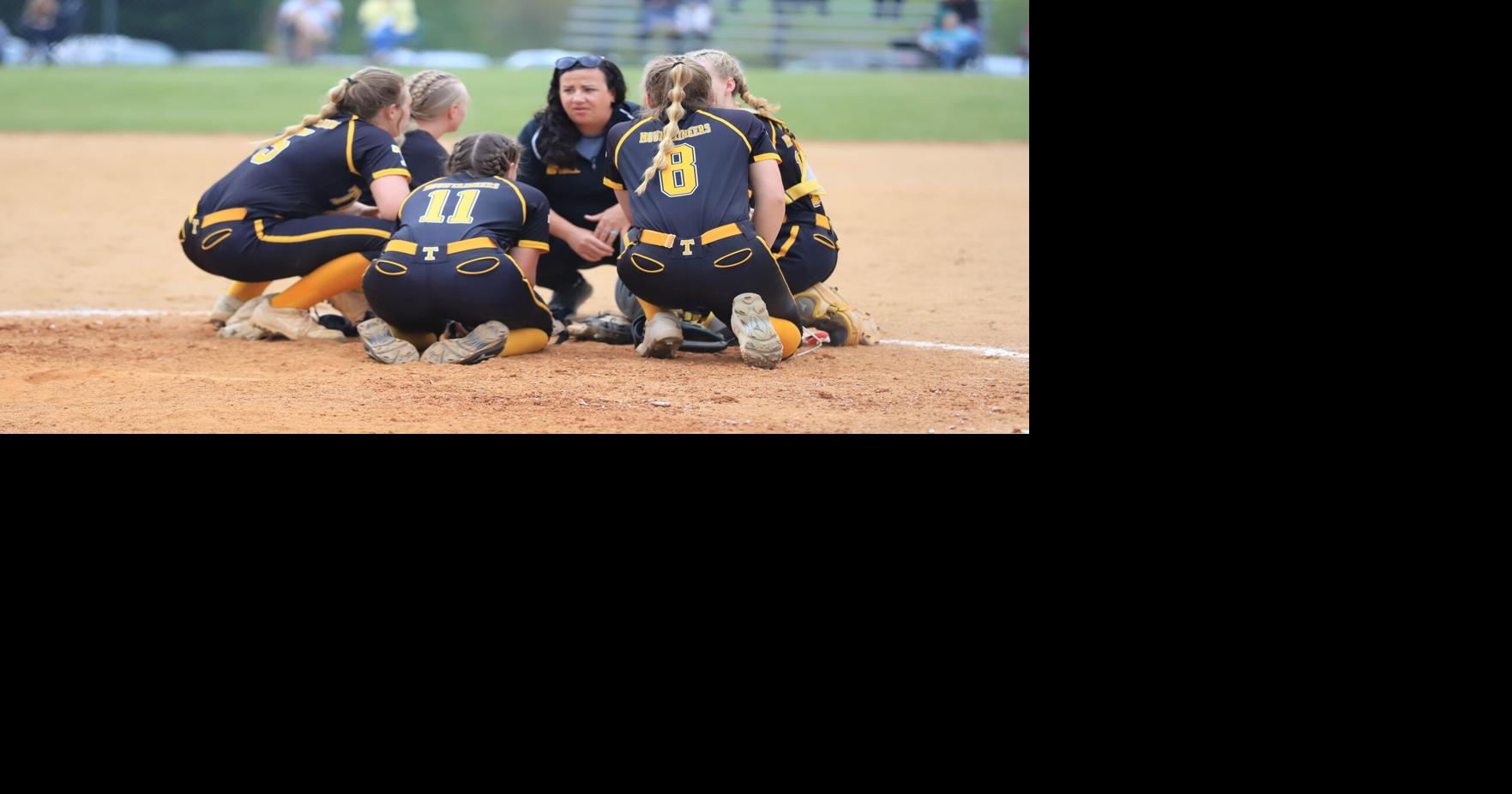 New coach hired to lead Tuscola softball Sports