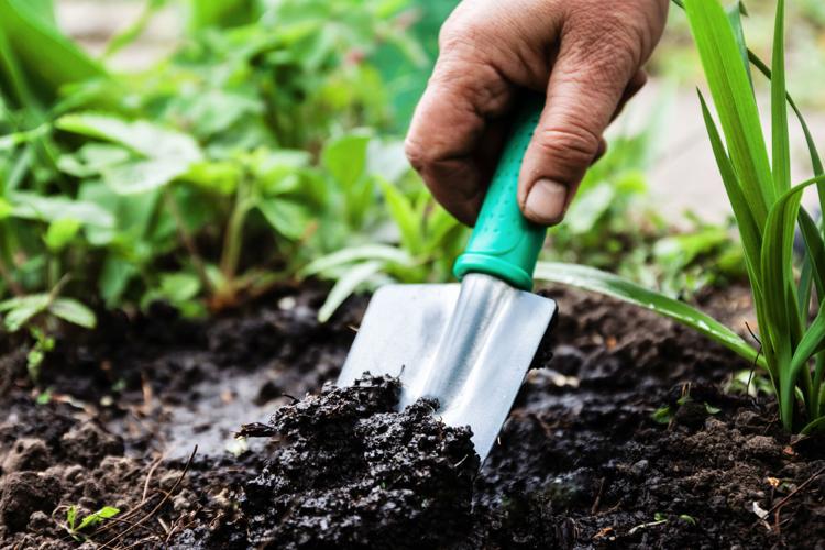 What is Garden Soil Good for: Unlocking Plant Potential
