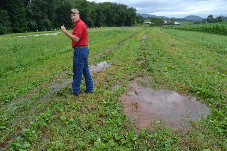 Waterlogged | News | themountaineer.com