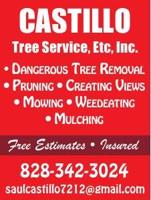 Castillo Tree Service, Etc, Inc.