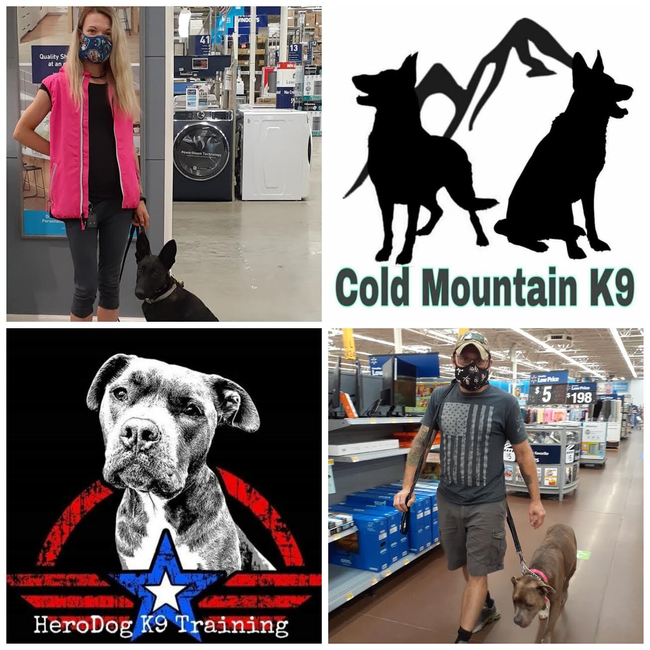 mountain k9 dog training