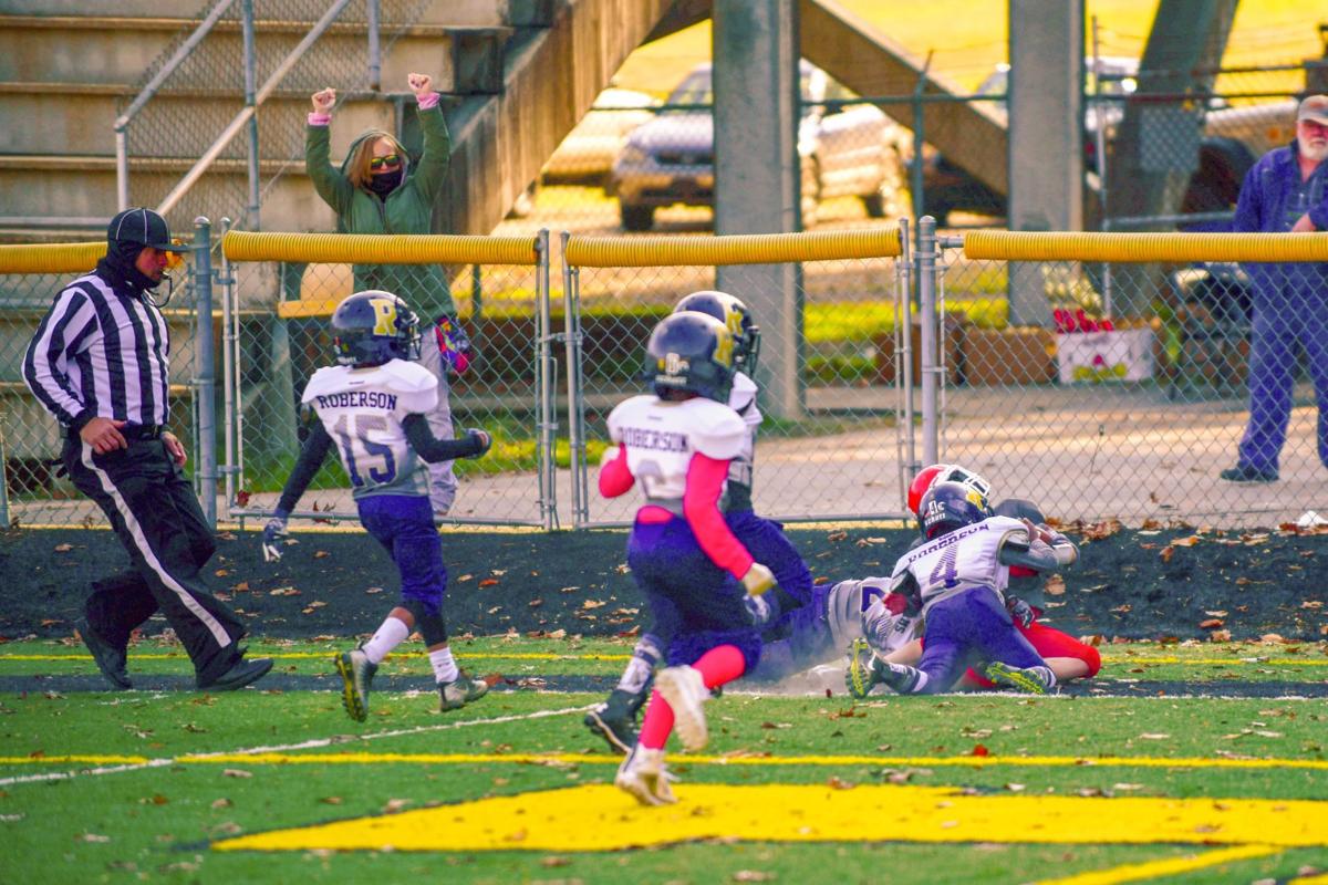 Lake Junaluska Falls To T C Roberson In Termite Super Bowl