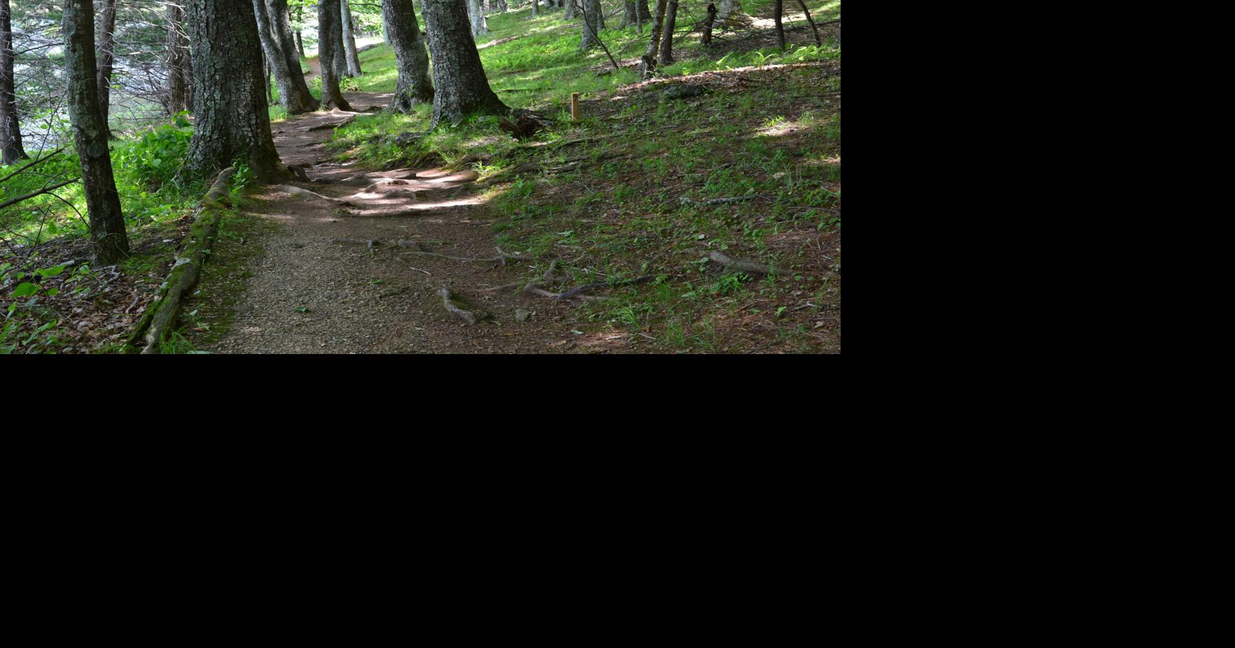 Blue Ridge Parkway Foundation raises impact on key Parkway Improvements