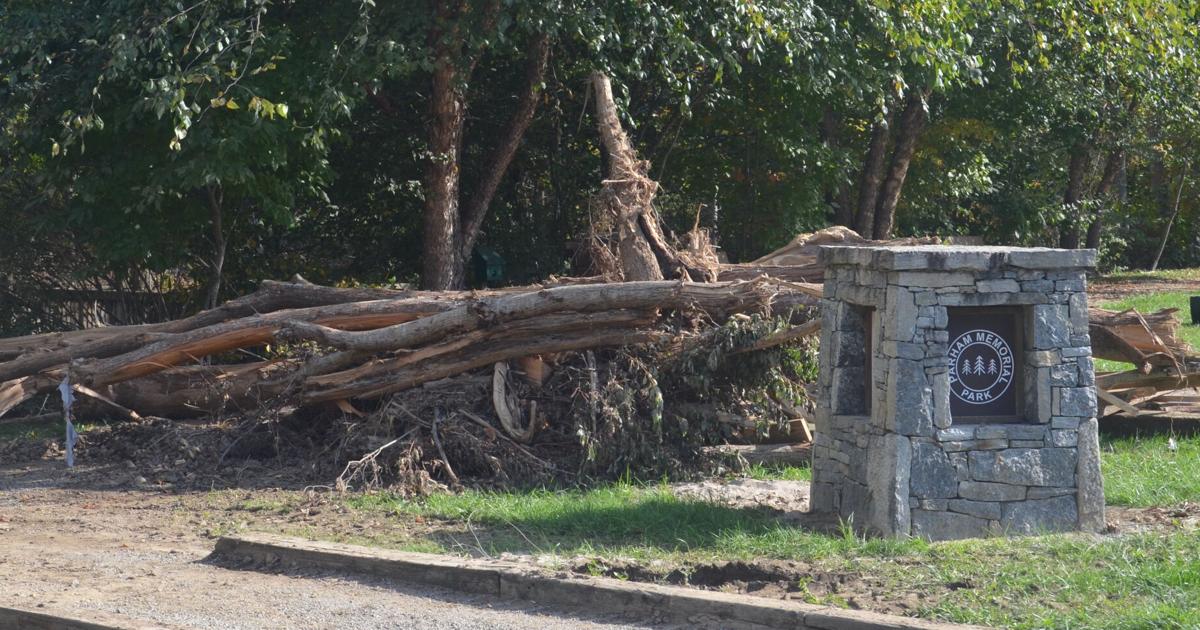 Maggie Valley tree mangled by Helene? FEMA may help remove it | News ...