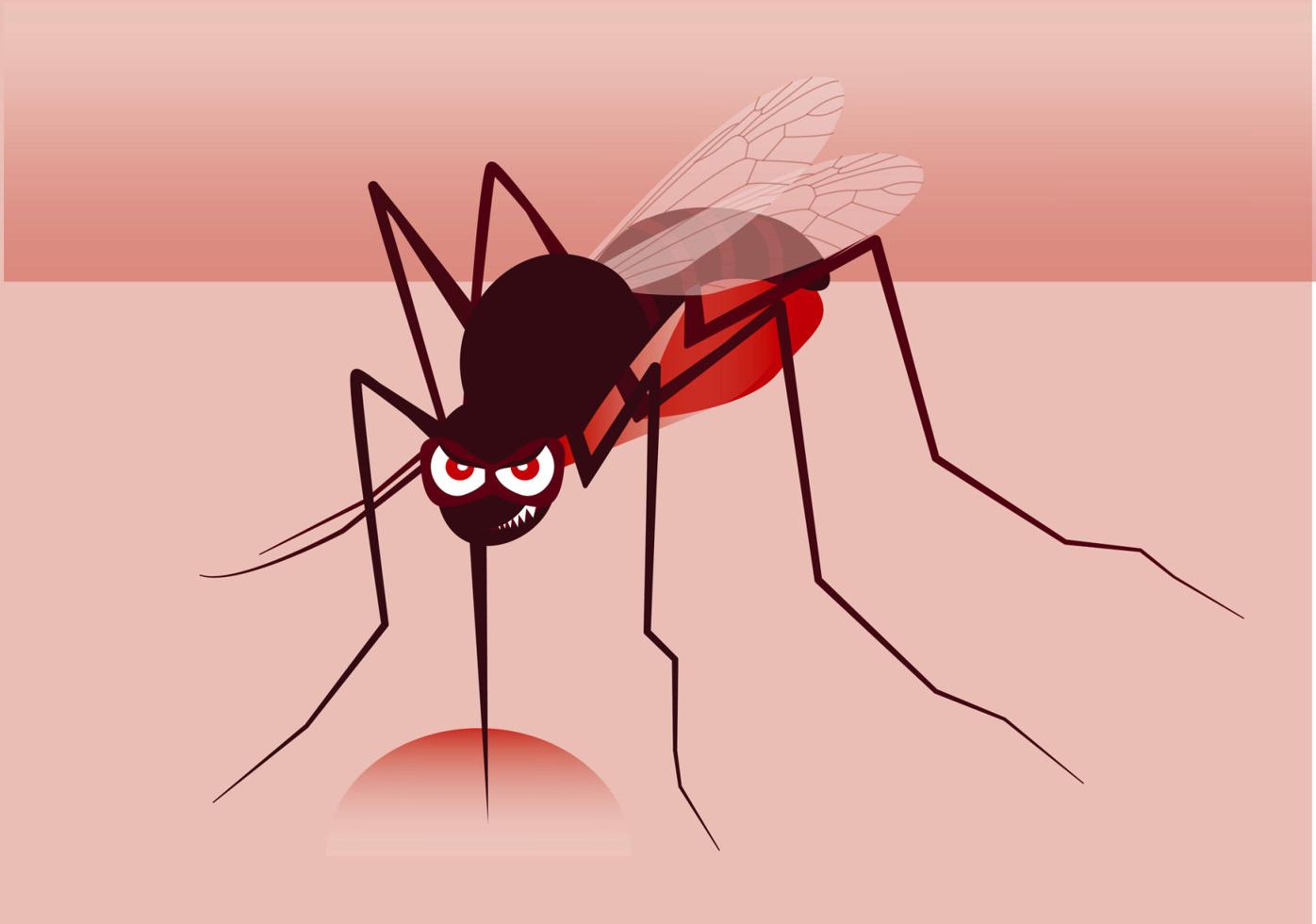 If Mosquitoes Like You Summer Bites The Guide Themountaineer Com