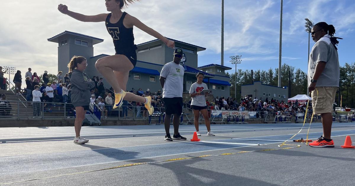 Tuscola track brings home impressive results from state meet