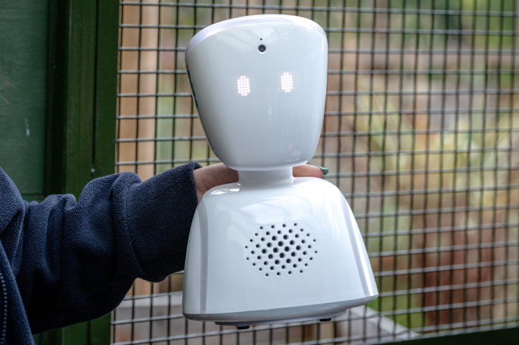Robot helps kids with cancer visit zoo without leaving hospital ...