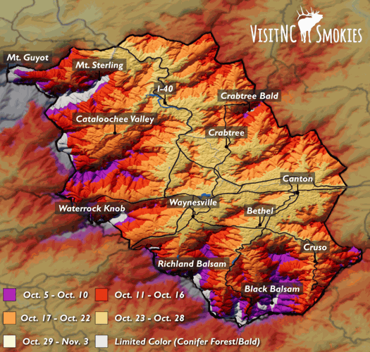 Find fall fun with leaf-looking locations, line-up of festivals | Life ...