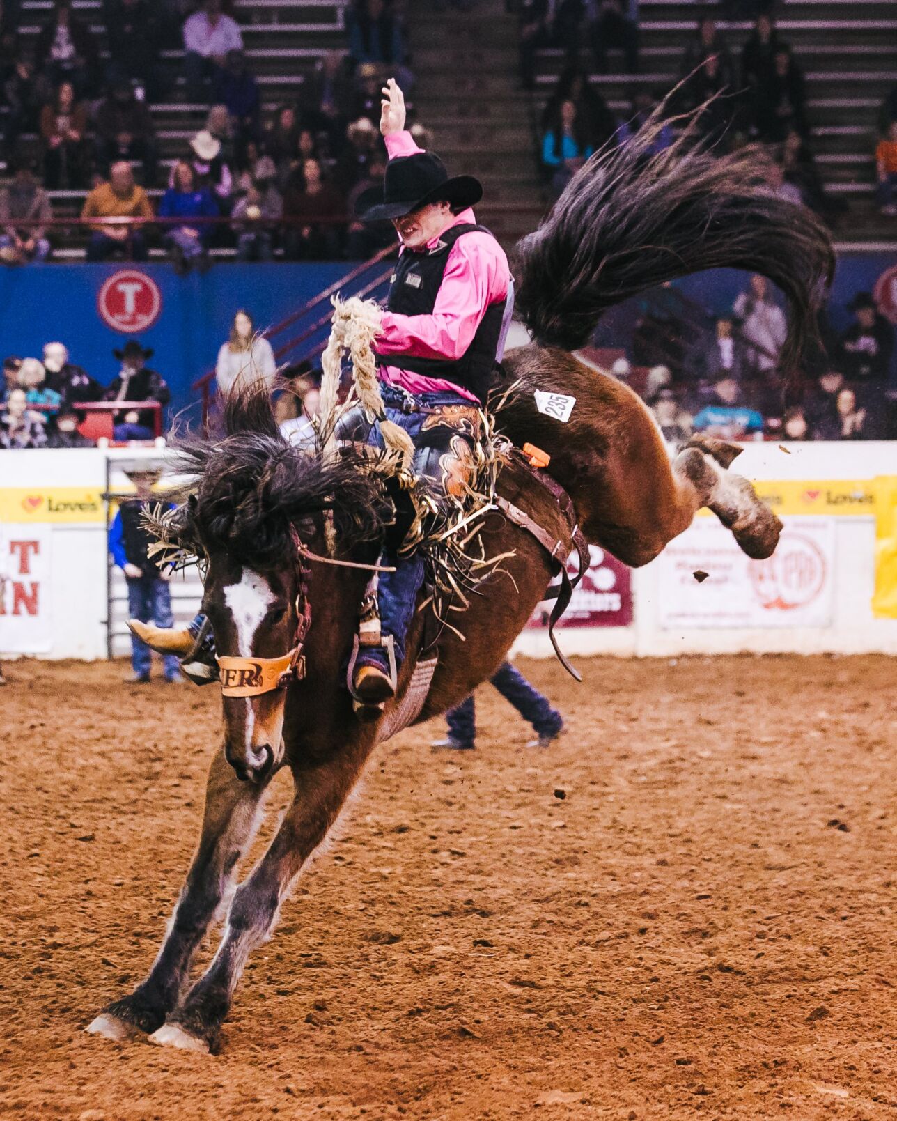 Saddle Up For Adventure: Your Guide To Oregon’s Joaquin Miller Horse Camp